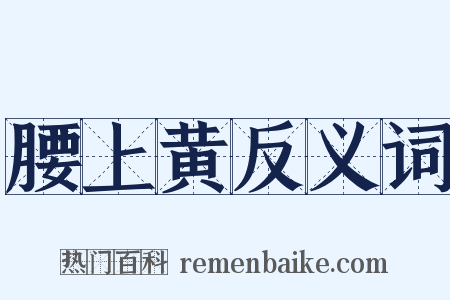 腰上黄反义词是什么意思的图片